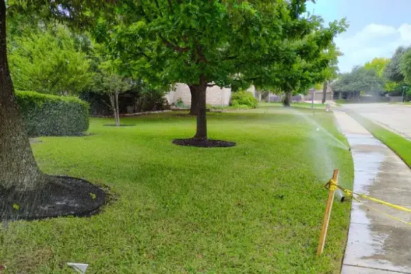 Landscape Design Services