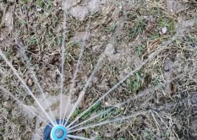 Landscaping Contractor
