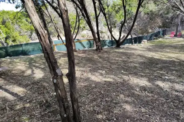 Tree Trimming Services