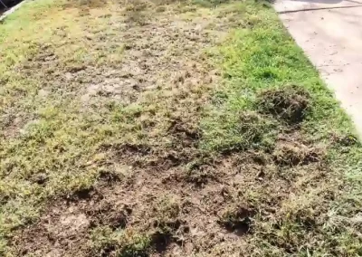 Professional Landscape Services Provider