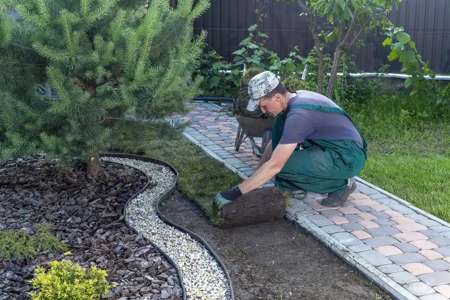 Affordable Landscape Installation Lago Vista, TX Affordable Landscape Installation Lago Vista, TX
