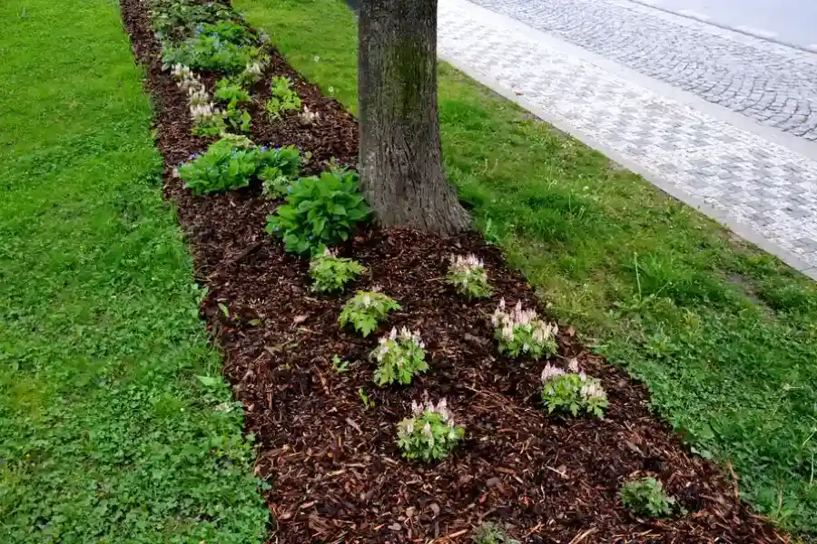 Expert Mulching Lago Vista, TX