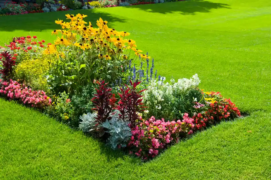 How Landscape Design Services Help Maintain Long-term Yard Health Lago Vista, TX