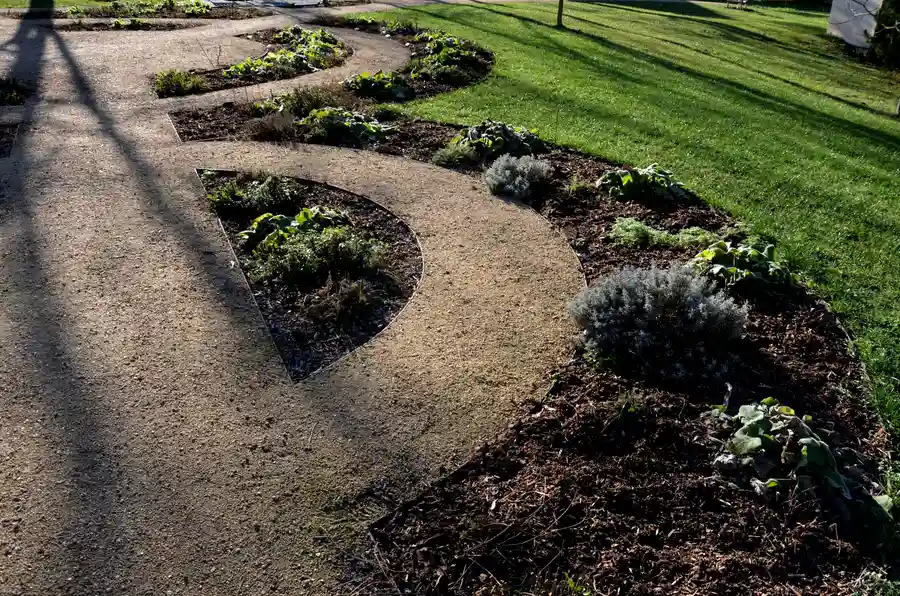 How Landscape Design Services Help Maintain Long-term Yard Health in Lago Vista, TX