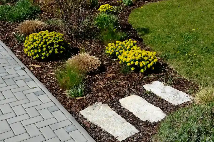 How Mulch Protects Plants During Extreme Weather Conditions Lago Vista, TX