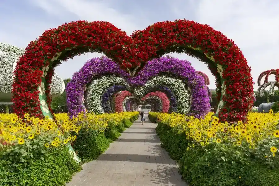 Premium Landscape Installation Lago Vista, TX Premium Landscape Installation Lago Vista, TX