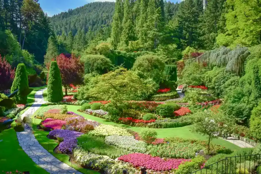 What To Expect When Working With Landscape Design Services Lago Vista, TX What To Expect When Working With Landscape Design Services Lago Vista, TX