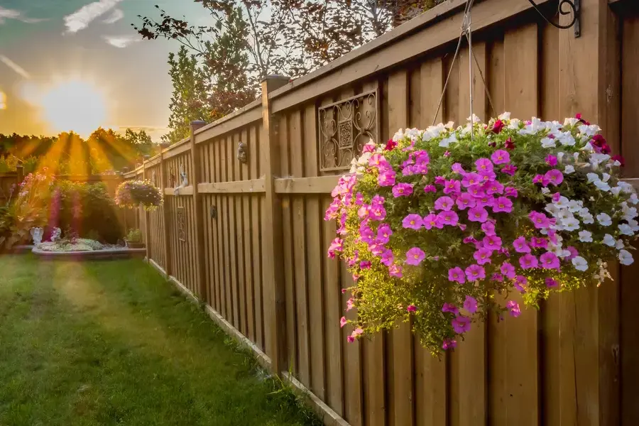 What To Expect When Working With Landscape Design Services in Lago Vista, TX What To Expect When Working With Landscape Design Services in Lago Vista, TX