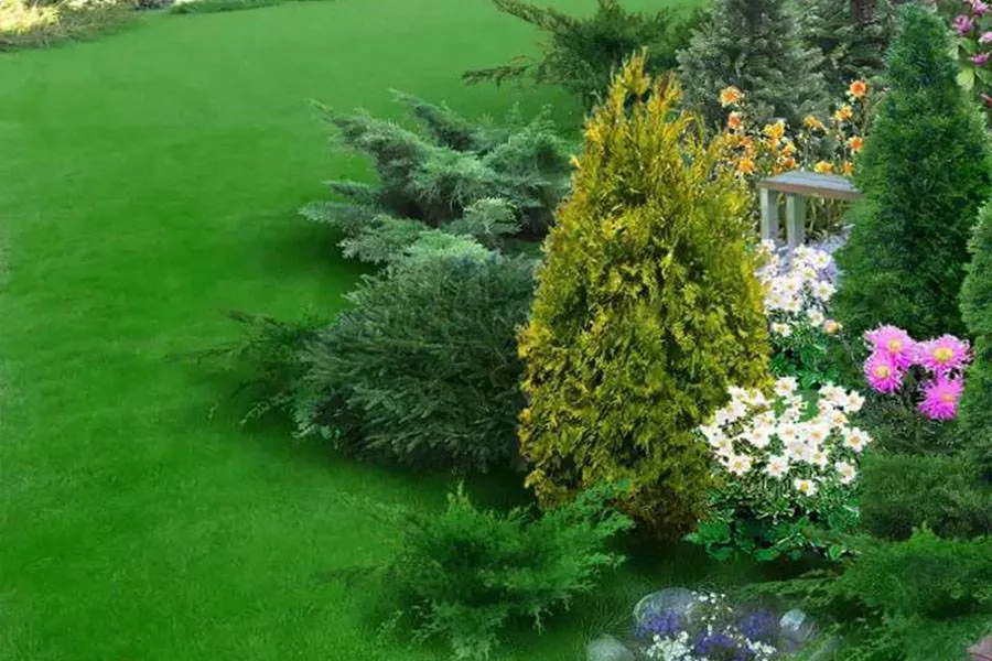 Reliable Landscape Services